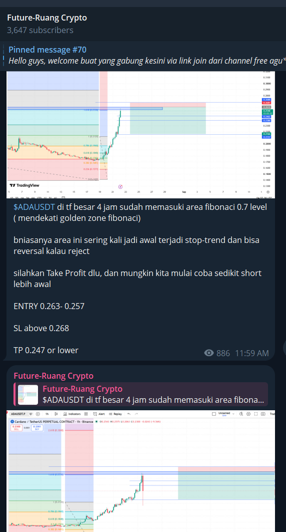 ruangcrypto setup transparan